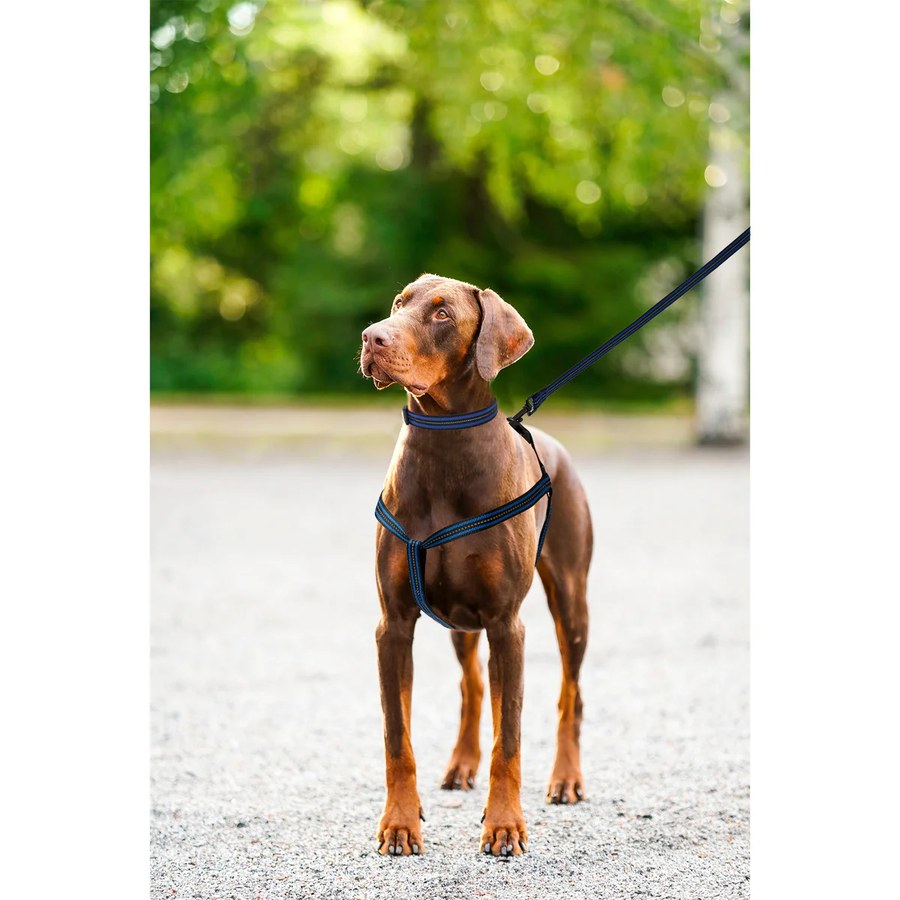Ayarlanabilir Reflektörlü Köpek Tasması