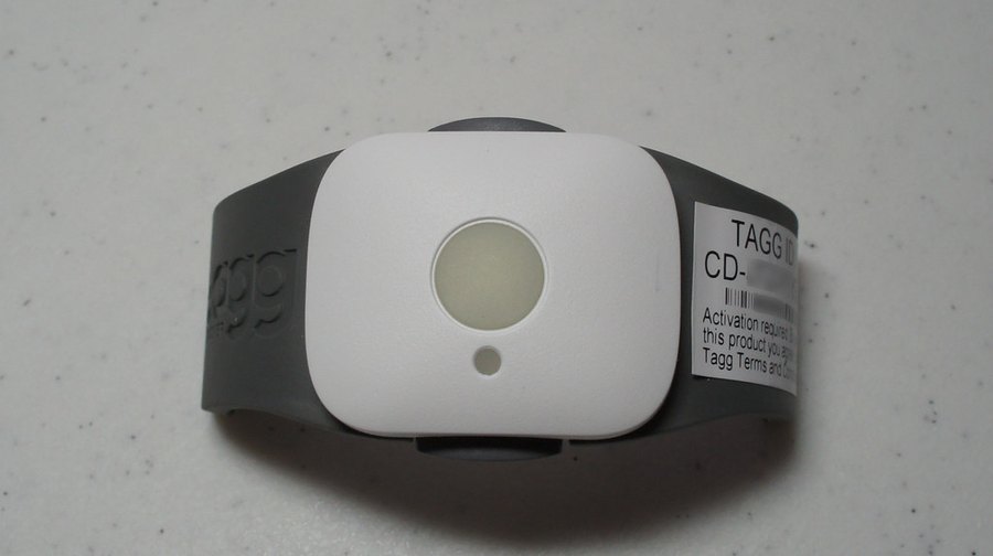 GPS Akıllı Takip Tasması (Canlı Konum)