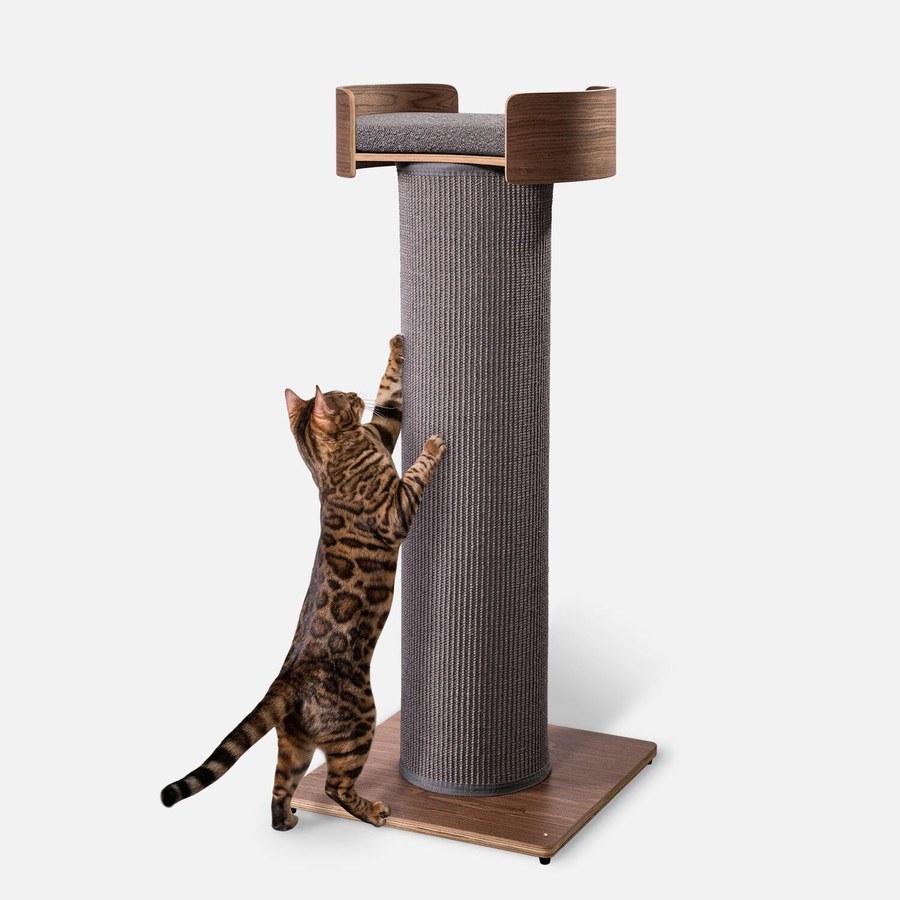 Kedi Tırmalama Tahtası ve Oyun Kulesi